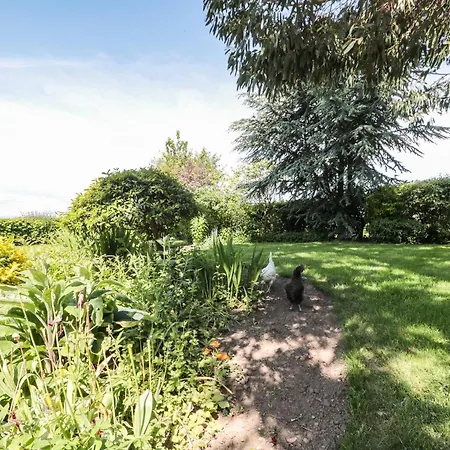 The Old Dairy Thirsk