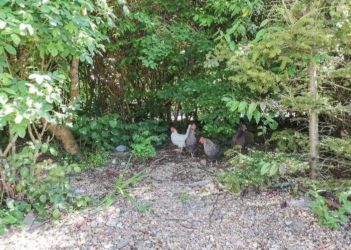 The Old Dairy 別荘 *